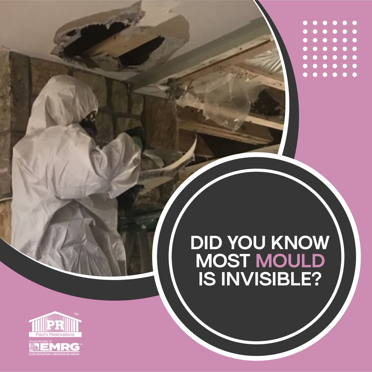 PaulsRest's tweet photo. Moulds reproduce by means of tiny spores; the spores are invisible to the naked eye and float through outdoor and indoor air. Mould may begin growing indoors when mould spores land on surfaces that are wet.
-----
🌐 https://t.co/bM6eWqgSkB
.
#paulsrestorations #restoration https://t.co/XYSzidLhZT