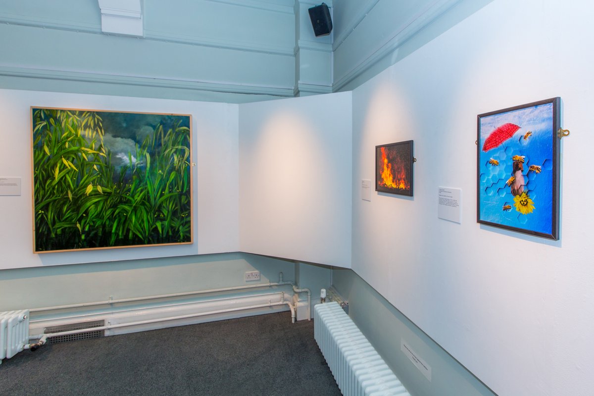 LeighGalleryUK's tweet photo. 3 weeks left to visit @rbkheritage #ClimateKAOS Exhibition open till 26th March 2022. Exhibition courtesy @KingstonAOS. #SueRoe and @CristinaSchek are showing work in this important exhibition drawing attention to #ClimateChange
https://t.co/zetY5McPmI https://t.co/6kG7oKSZmO