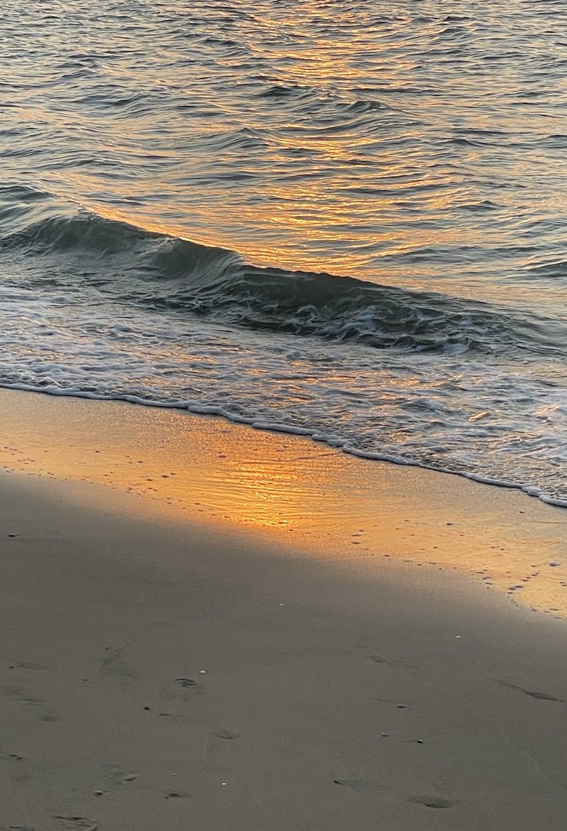 wish you were here. ⊹