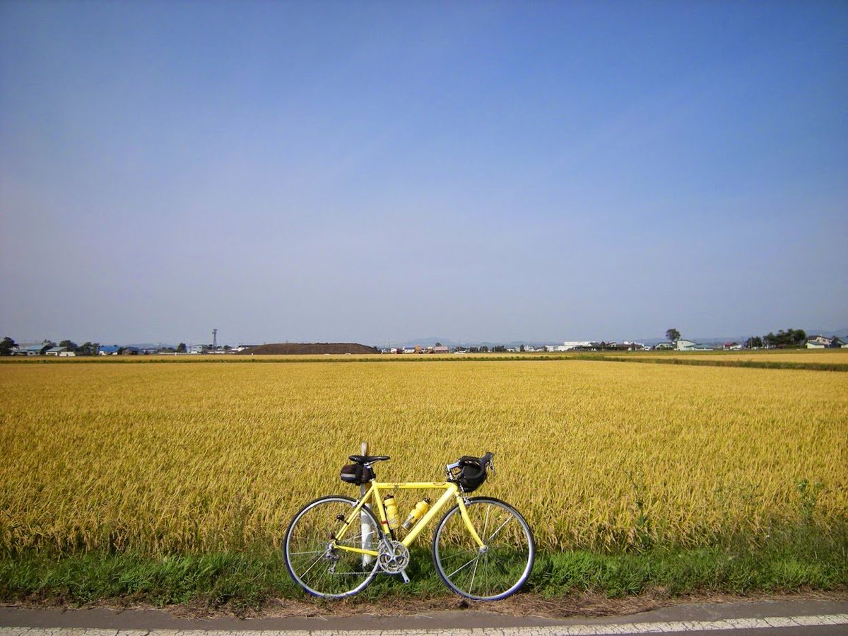 老牌鰤牛號 tweet media