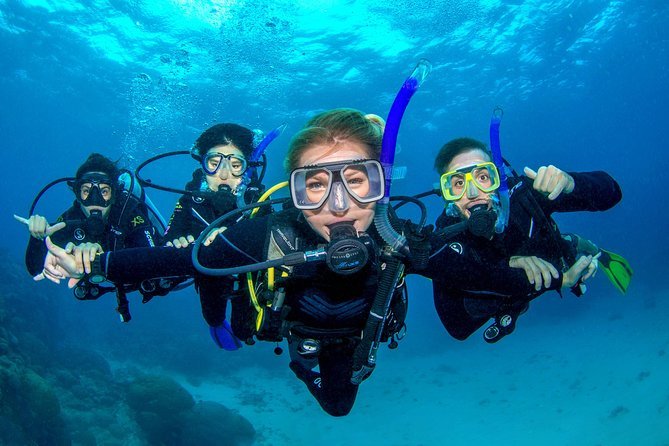 DiveUWW's tweet photo. 🐠 Almost Through the Winter Sales! https://t.co/lpRgUdtOOS https://t.co/crq5cyy52B