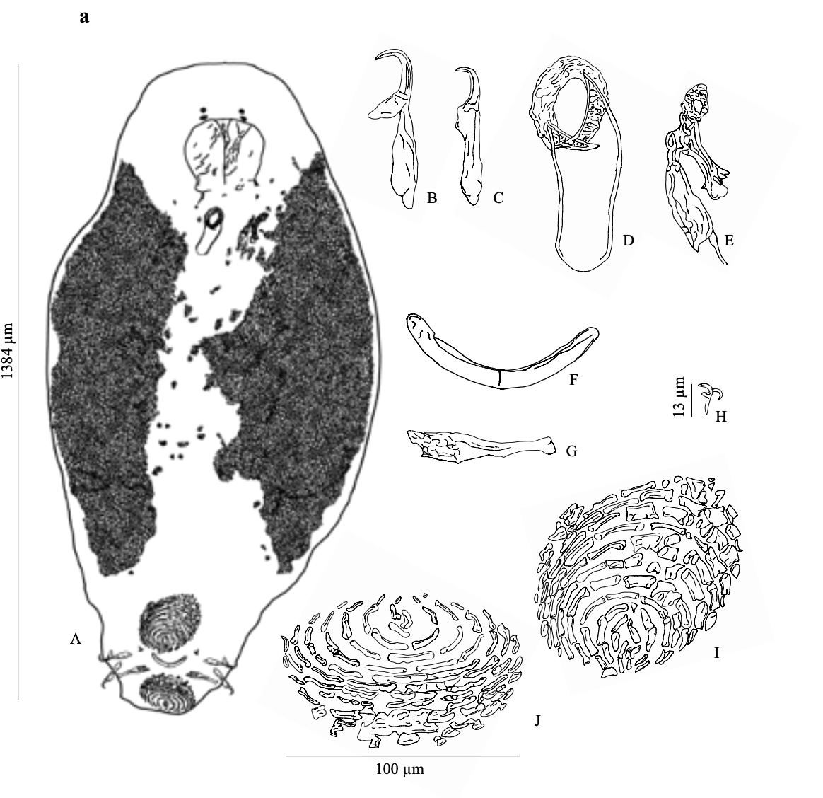 Nikol KMENTOVA tweet media