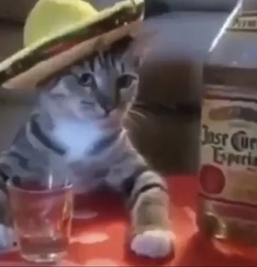 اول اسبوع ميد و احس خلاص كفاية