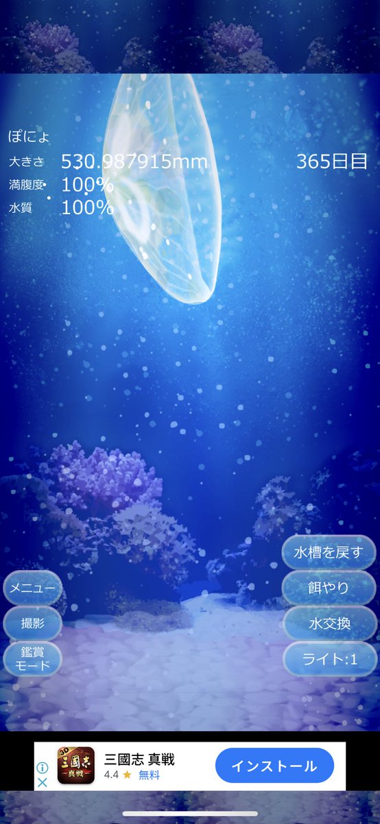 risaaa0451's tweet photo. 1年経った。育った。 https://t.co/UUjALyS6w2