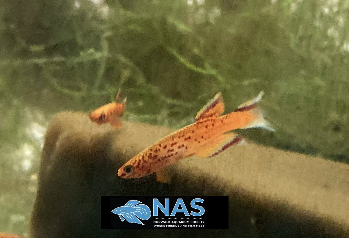 Gj2ct8ifrgplzm Gj2ct8ifrgplzm