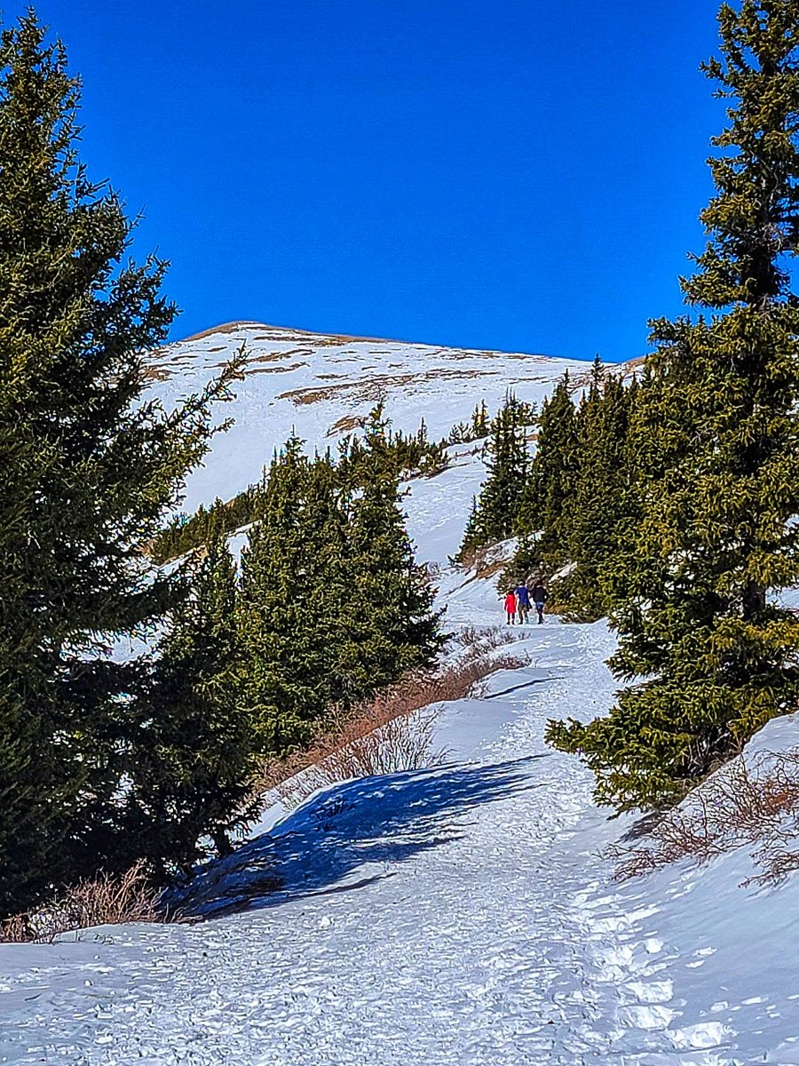 wander4insp's tweet image. Snowshoeing is one of our favorite ways to experience the winter beauty of Colorado’s mountains.

#BreckenridgeColorado #ColoradoMountains #ColoradoTrails