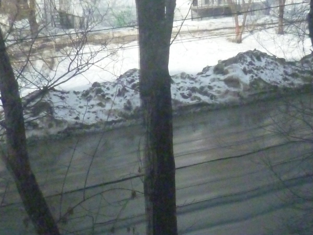 Тамара Никулина tweet media