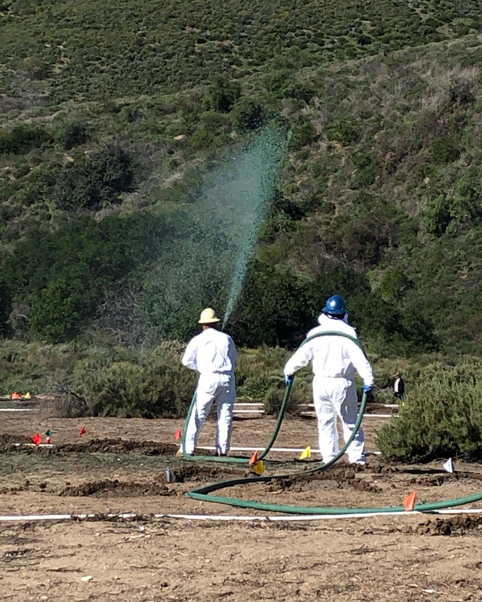 PHHPA's tweet photo. Restoration in progress of 2.1 acres in #powdercanyon removing weedy fuel vegetation with fire resistant drought tolerant indigenous plants. Area with be self sustaining in 5 years. #habitatrestoration #puentehills https://t.co/kyJcagDEoc