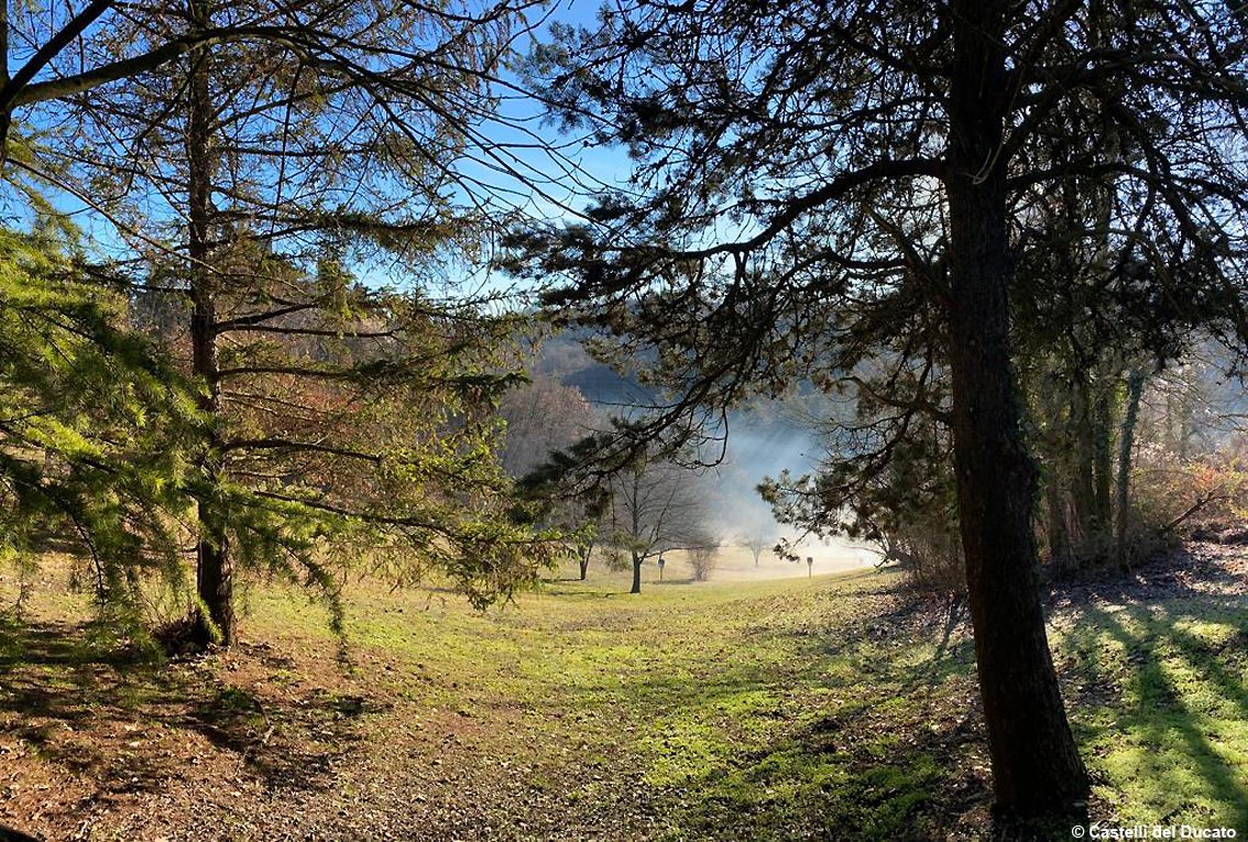 TurismoItaliaNw's tweet photo. Esperienze outdoor nei Castelli del Ducato: a primavera escursioni, picnic, visite naturalistiche, trekking urbano in piccoli borghi 
Leggi la notizia https://t.co/7qo9BbSfIu 

#outdorr #castellidelducato #escursioni #eventi #trekkingurbano #Turismo @CastelliDucato https://t.co/pXdoZLee3W