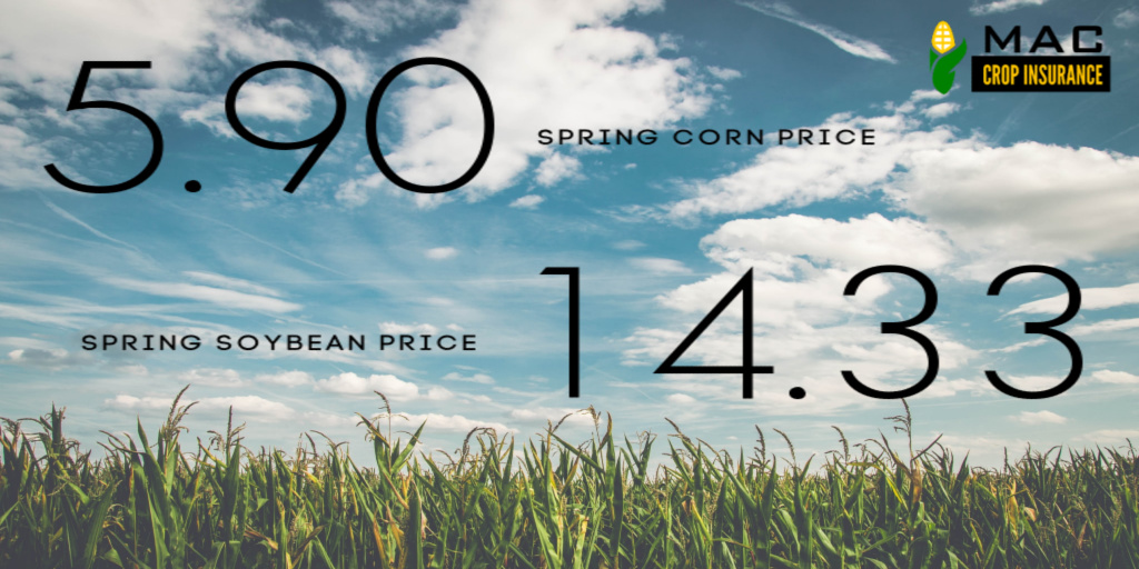 MAC_CropIns's tweet photo. Officially Announced:  Spring prices are finalized at $5.90 and $14.33, setting some record breaking guarantees!  Make sure to get with your agent prior to the March 15th deadline to ensure your coverage is in place!  Contact your MAC agent today! #cropinsurance https://t.co/6MOH1TFOyI