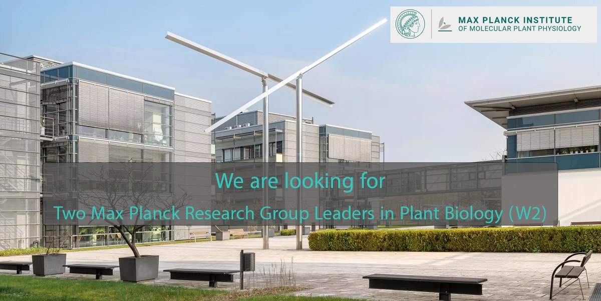 The @MPIMP_Potsdam is looking for two outstanding early-career scientists to lead independent junior research groups working in a modern area of plant biology. Please apply by March 31, 2022. More information mpimp-golm.mpg.de/2707644/max-pl…