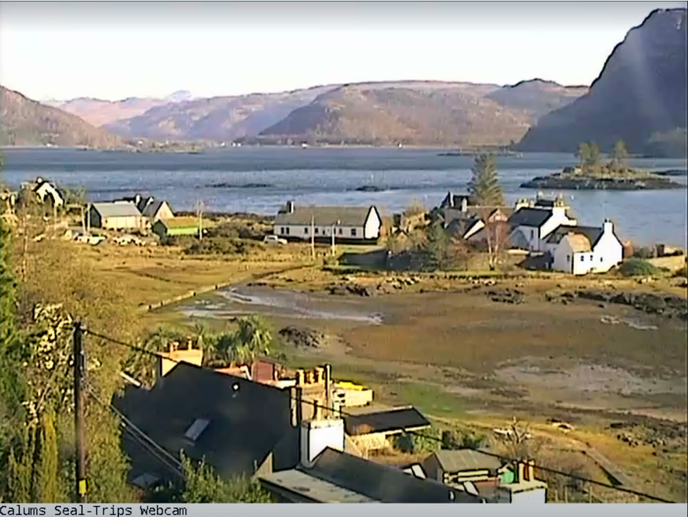 webcamsmap's tweet photo. It’s a sunny day on the north-west coast of Scotland. Both @1EileanDonan https://t.co/1lOTDUiKPE &amp; #Plockton https://t.co/koRqhbKufw are currently benefiting from picture-postcard weather https://t.co/QsydBNyMCu