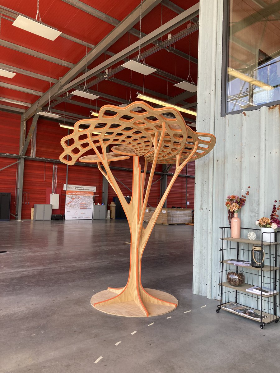 GroenGroningen💚🌳 tweet media