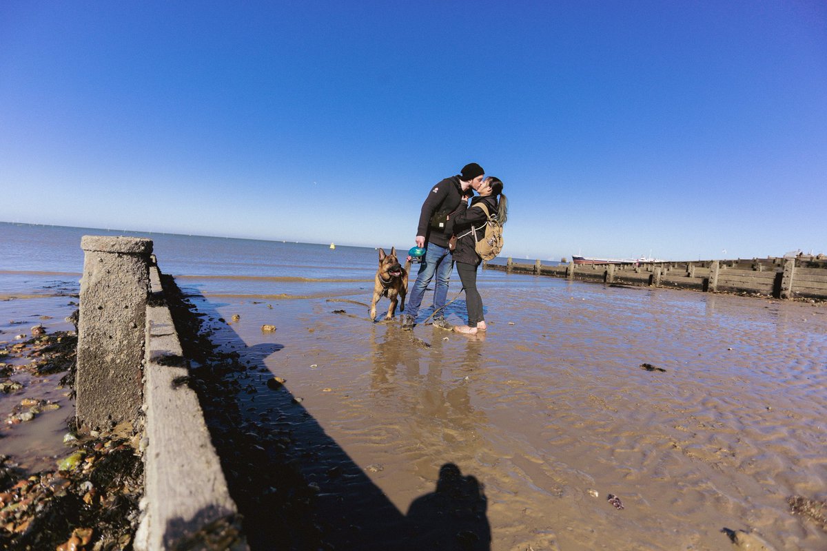Dog dad was on one knee, whiskey was standing right between us being like what are we doing? 🤣💍 #dogsoftwitter #dogdadproposed
