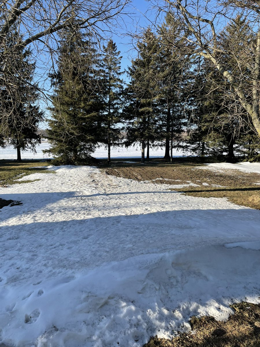 Good morning! Loving the sun. Can’t wait for spring.