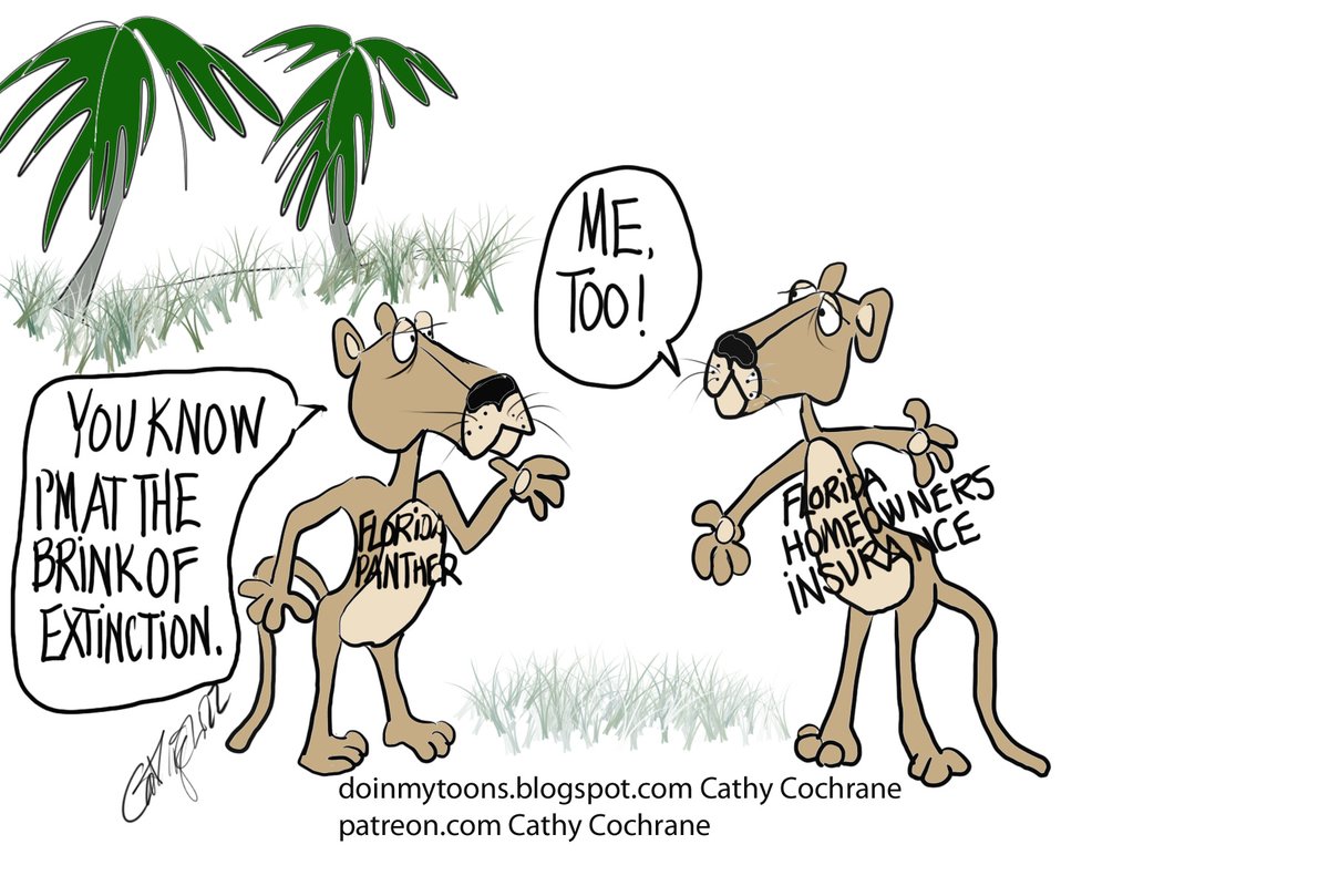 Cathy Cochrane tweet media