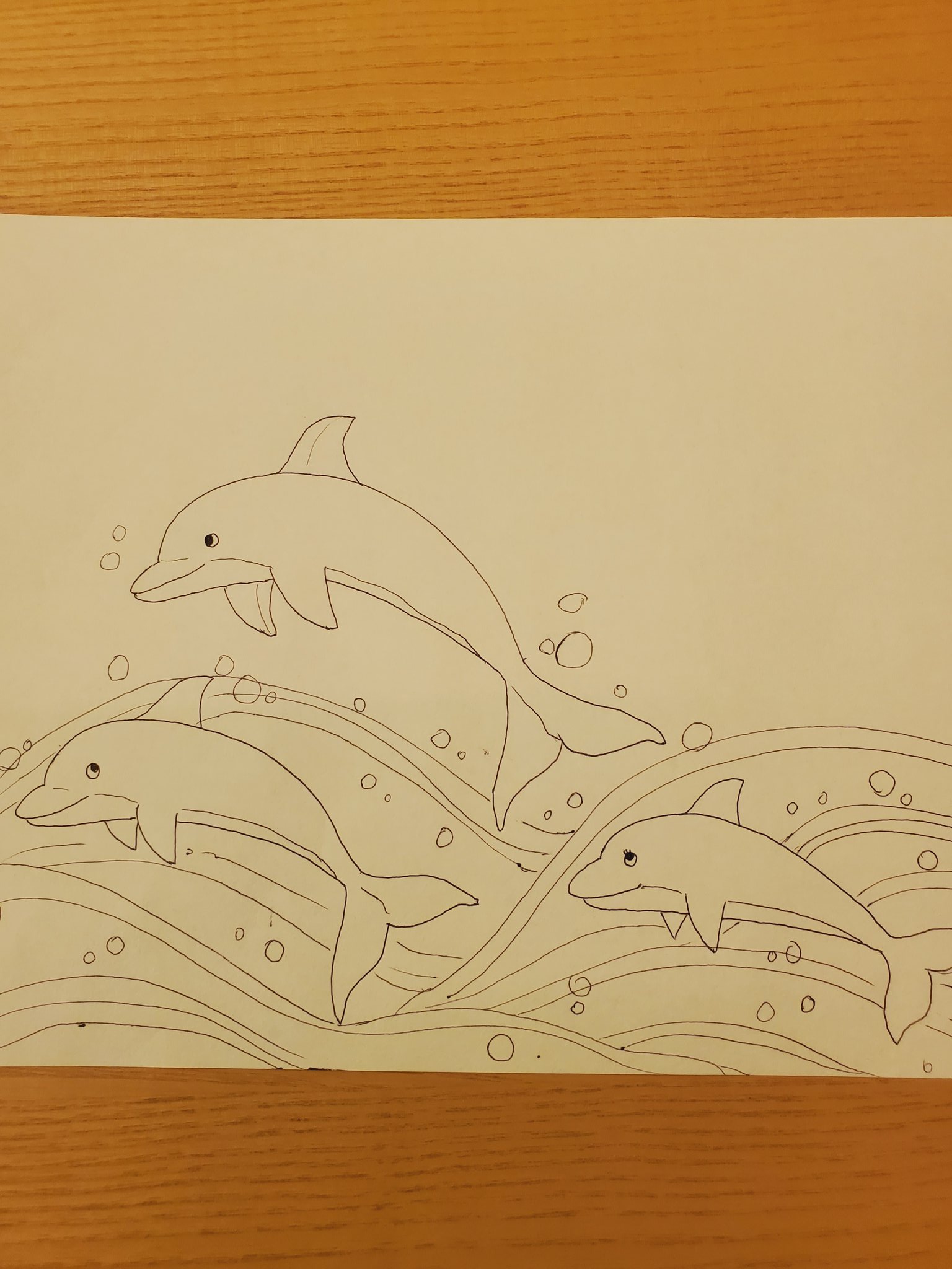 イルカの絵 Twitter Search Twitter