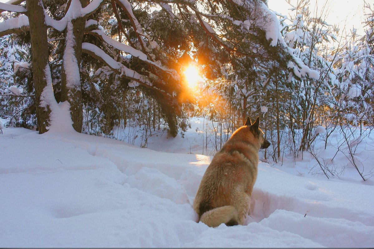 Красоты России tweet media