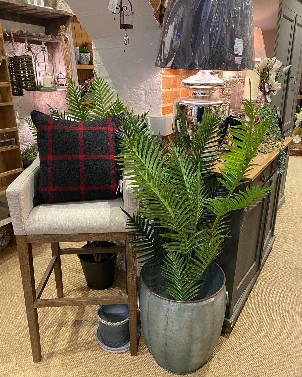 Packhouse tweet media