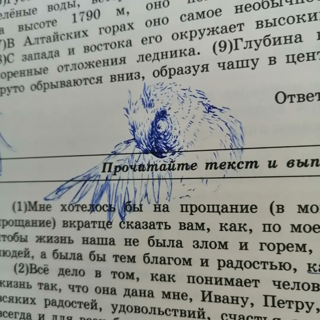 CLIV_KA's tweet photo. Рисование - это такой клевый способ собраться с мыслями)

#art #owl #sketch https://t.co/sA96W4QqCC