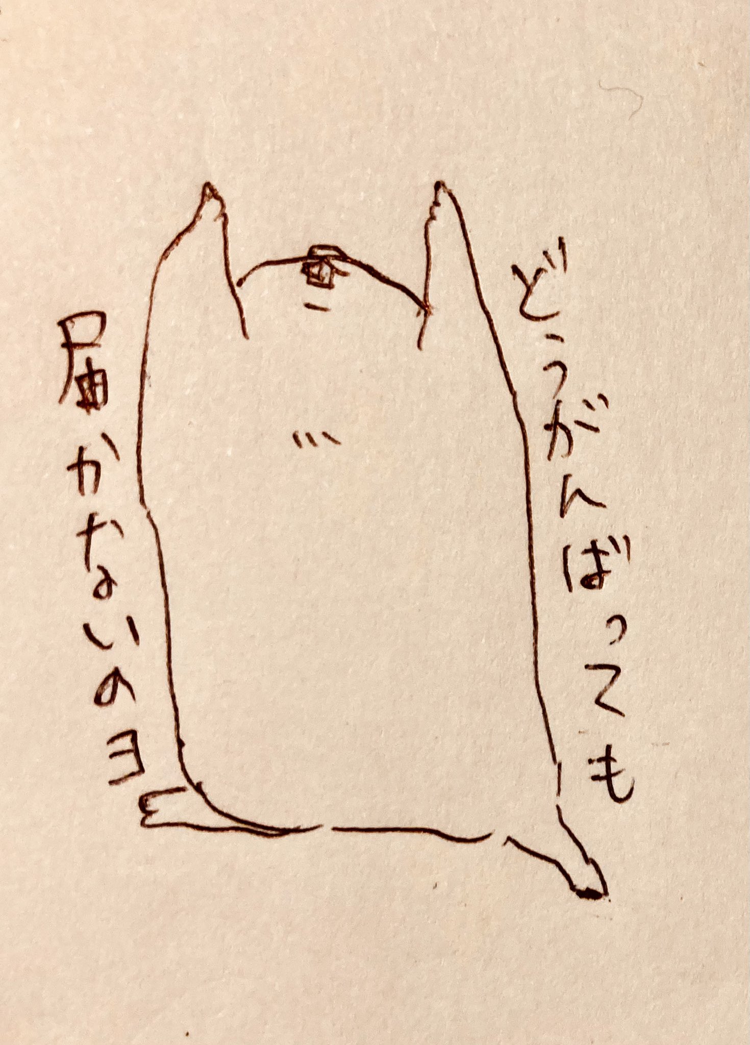 あいさ フォロバ増量中 Aisa1222 Twitter