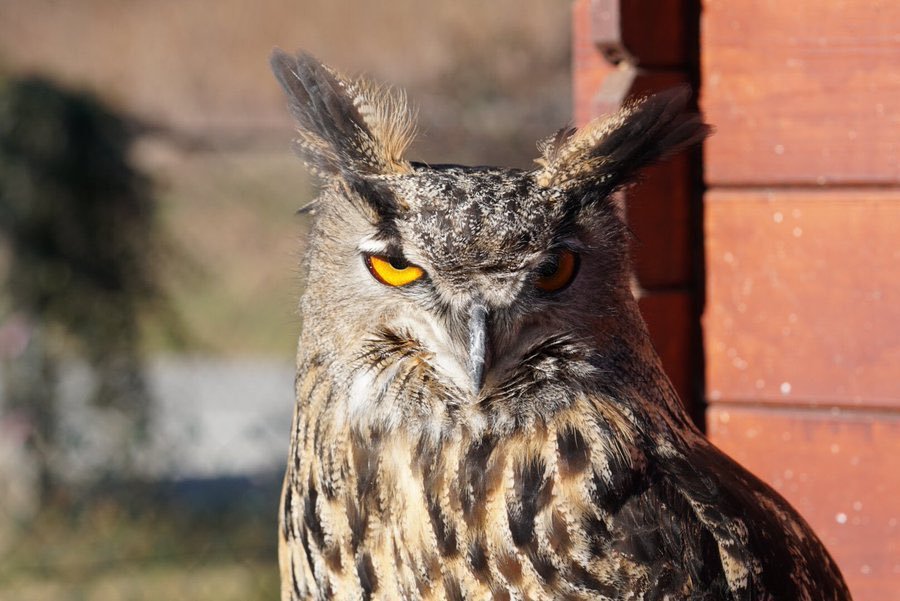 💬 "Naaaan la flemme, ça prend trop de temps de vérifier qu'on est inscrit·e au bon bureau de vote"

Nous :

#memecredi #Presidentielle2022 <a href="/TousInscrits/">Tous Inscrits</a>