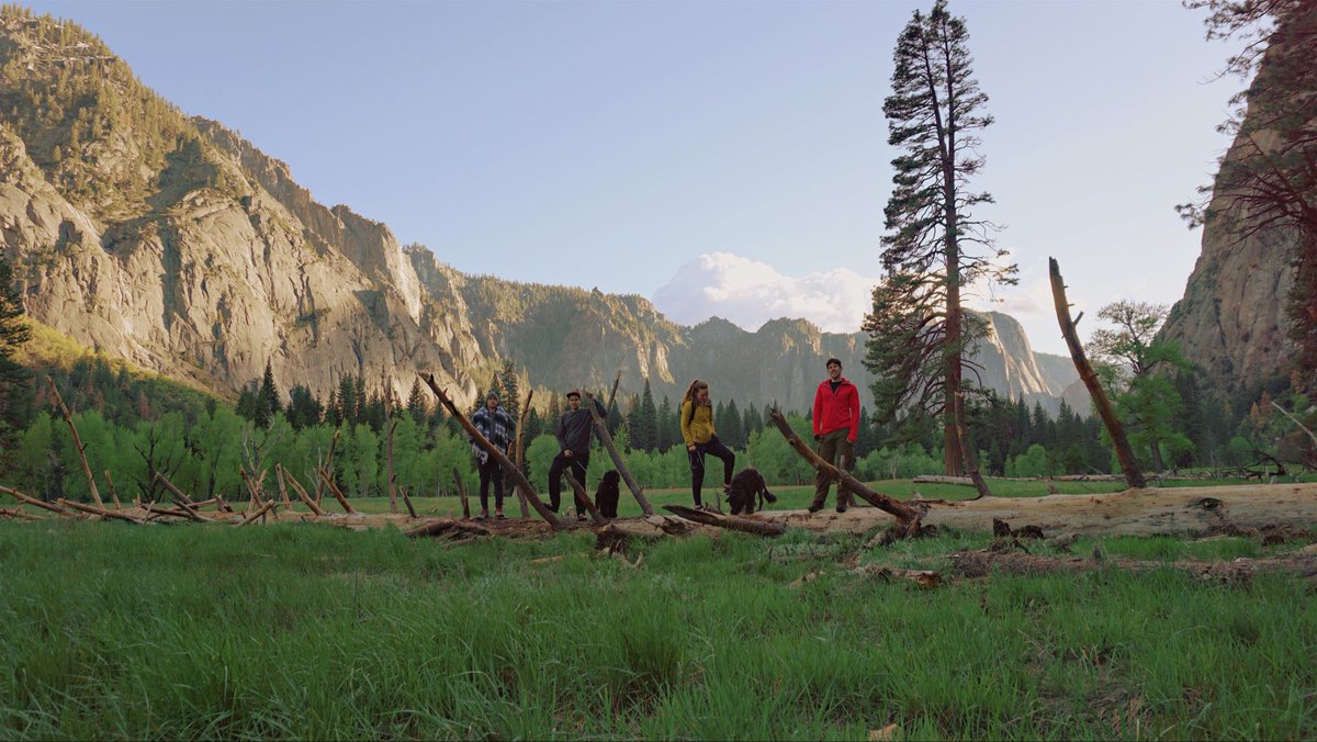 Juan Arreguin tweet media