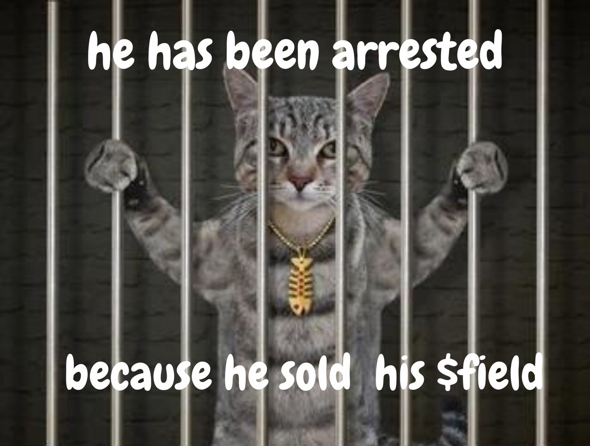 YieldFields tweet media