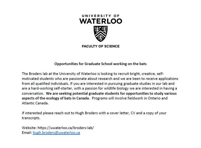 UWBatLab's tweet photo. We're looking for grad students! Contact us about a range of bat-related projects in Canada. More info about some of our ongoing projects at https://t.co/G9kDpAHQyO https://t.co/FaoGYWBi2h