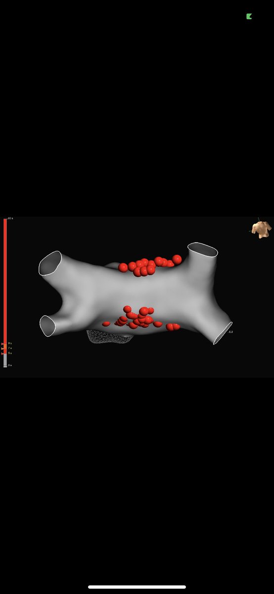 Alexander Karrip tweet media