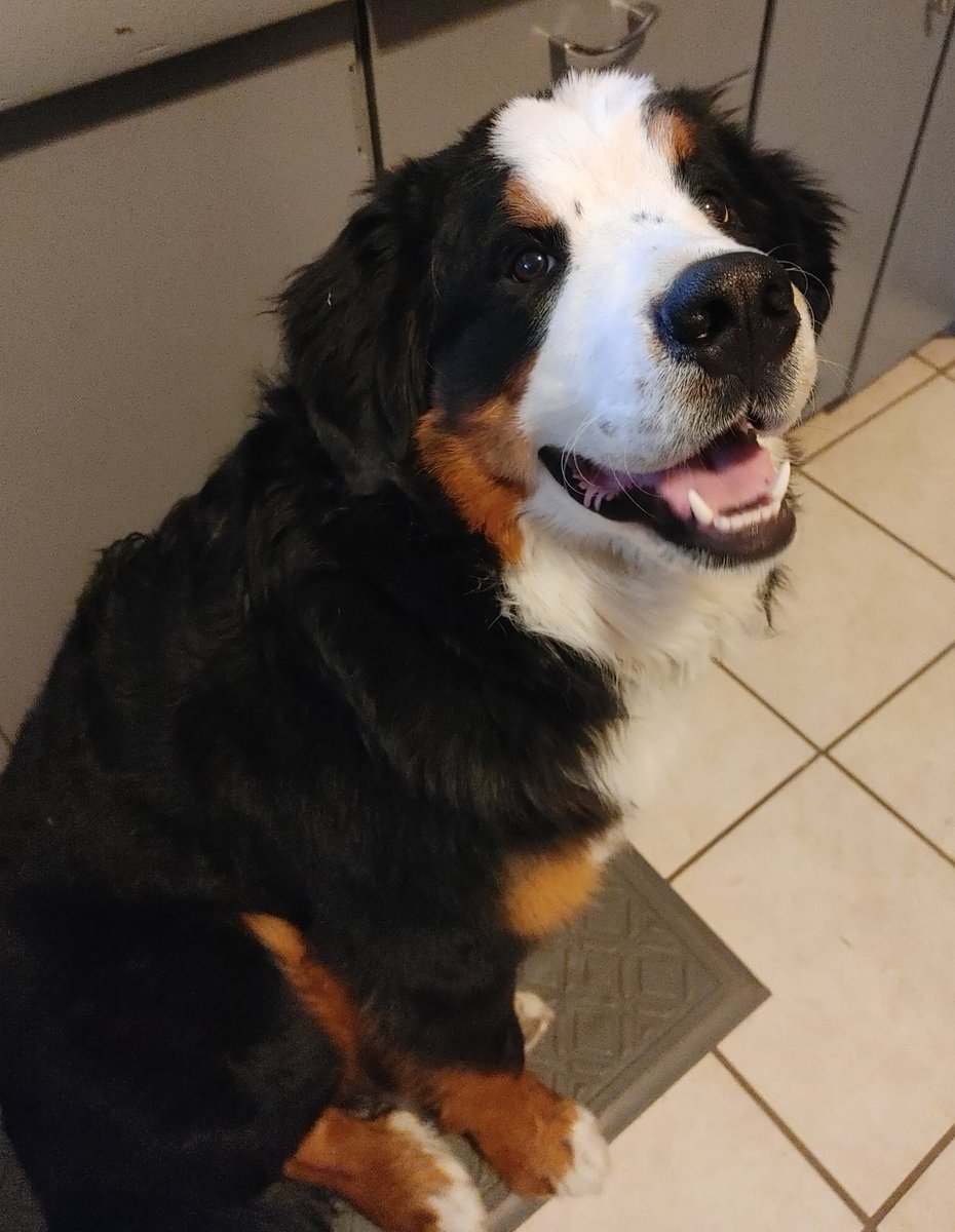 Trevor Reilly 🌸😃 tweet media