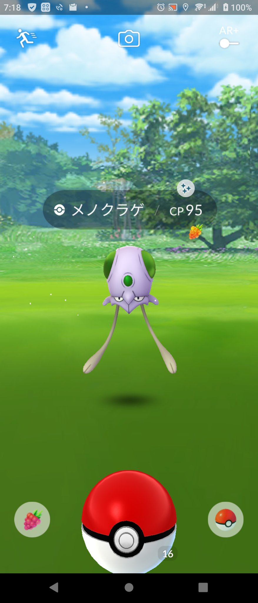 シオセ ポケgo専用 帽子フライゴンと色違いナゲキ 5周年ピカ探してます Shiose Pokemon Twitter