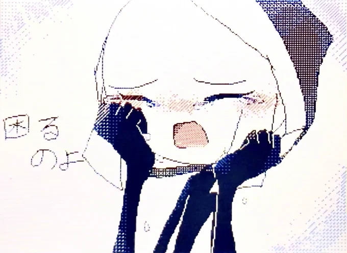気に入ってる 