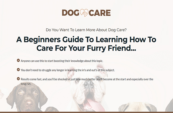 PLRdatabase's tweet photo. We want to let you know that our newest exclusive PLR has just been released to the marketplace on the topic of dog care. It’s called “Dog Care.” You can go ahead now and download it from here:

https://t.co/pAH5fM69vV

#plr #plrproducts #dogs #dogcare #care https://t.co/RrpGx31uOq