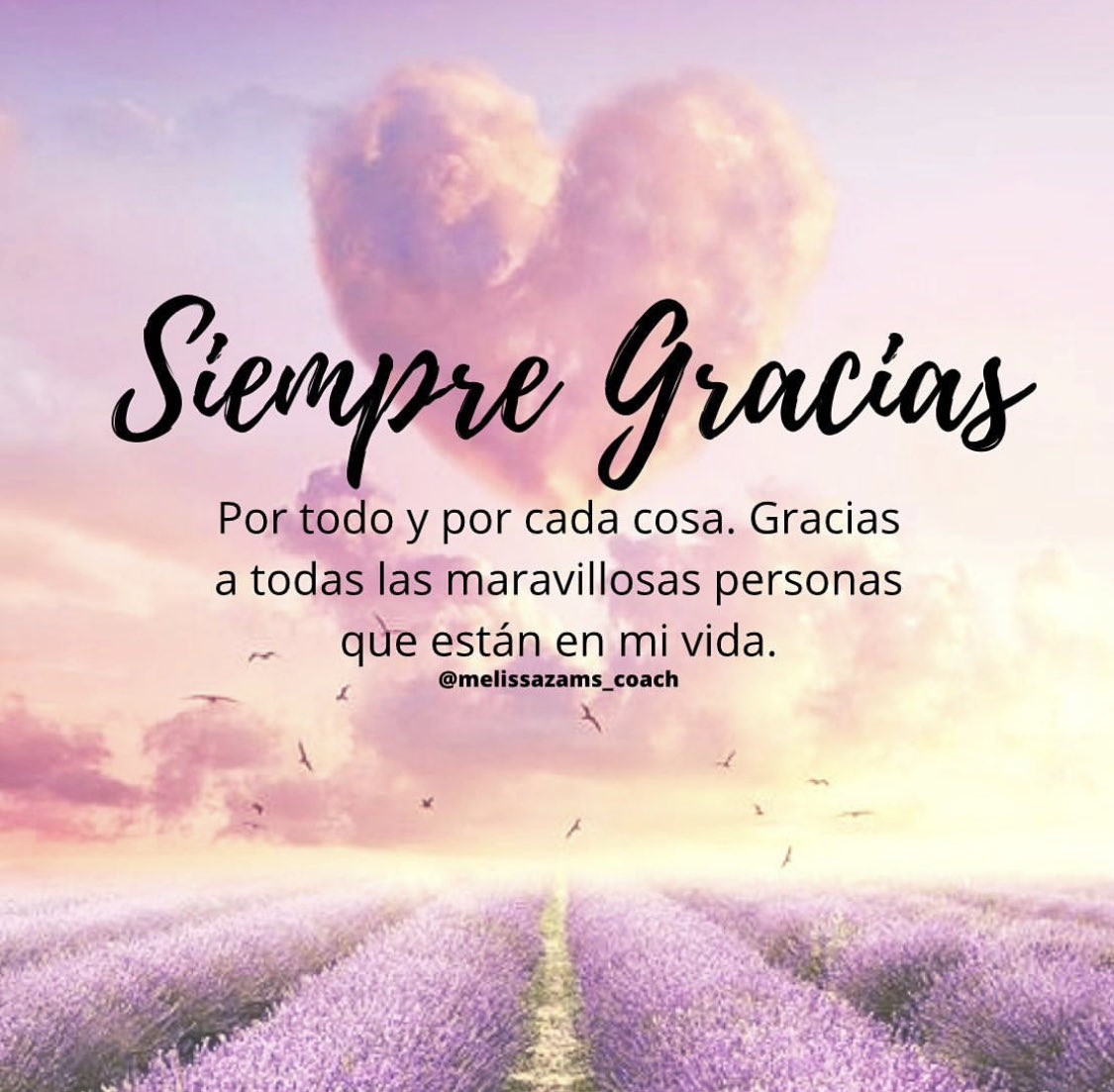 GLORIAVALLEJOO's tweet photo. https://t.co/YyAwmYr3ob