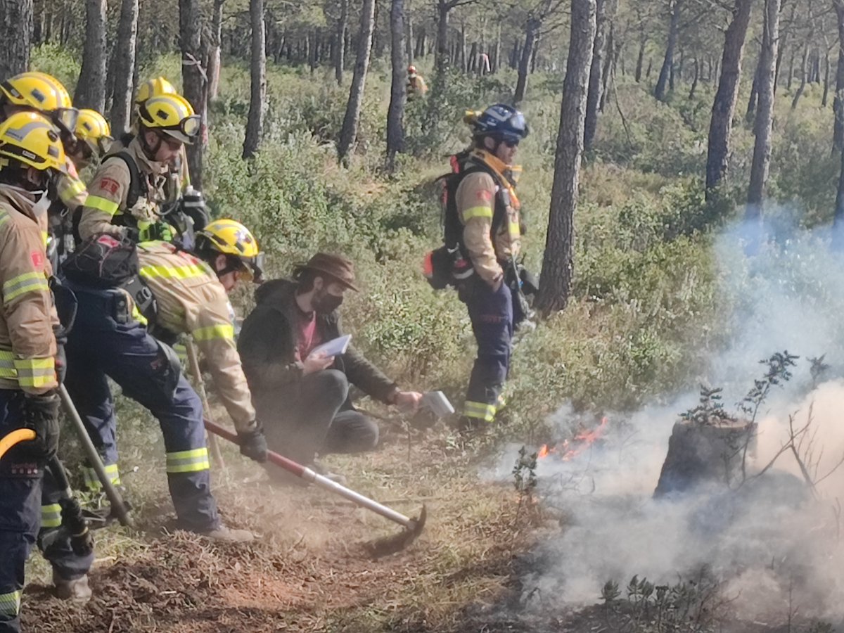 Xavier Ubeda (@xubeda) on Twitter photo 2 days of working in
<a href="/holisoils/">HoliSoils Project 🇪🇺</a> Project sites in Montgrí (Girona)
<a href="/GramUB/">GRAM</a>. Assessing fire effects on soil properties.
Following #prescribedfire as a management tool by #GRAF and #bomberscat.
#fire #soil #geography <a href="/edu_sagi/">Eduardo Garcia</a> <a href="/Antp901/">Peñalver-AlcaláA</a> 2 days of working in
<a href="/holisoils/">HoliSoils Project 🇪🇺</a> Project sites in Montgrí (Girona)
<a href="/GramUB/">GRAM</a>. Assessing fire effects on soil properties.
Following #prescribedfire as a management tool by #GRAF and #bomberscat.
#fire #soil #geography <a href="/edu_sagi/">Eduardo Garcia</a> <a href="/Antp901/">Peñalver-AlcaláA</a>