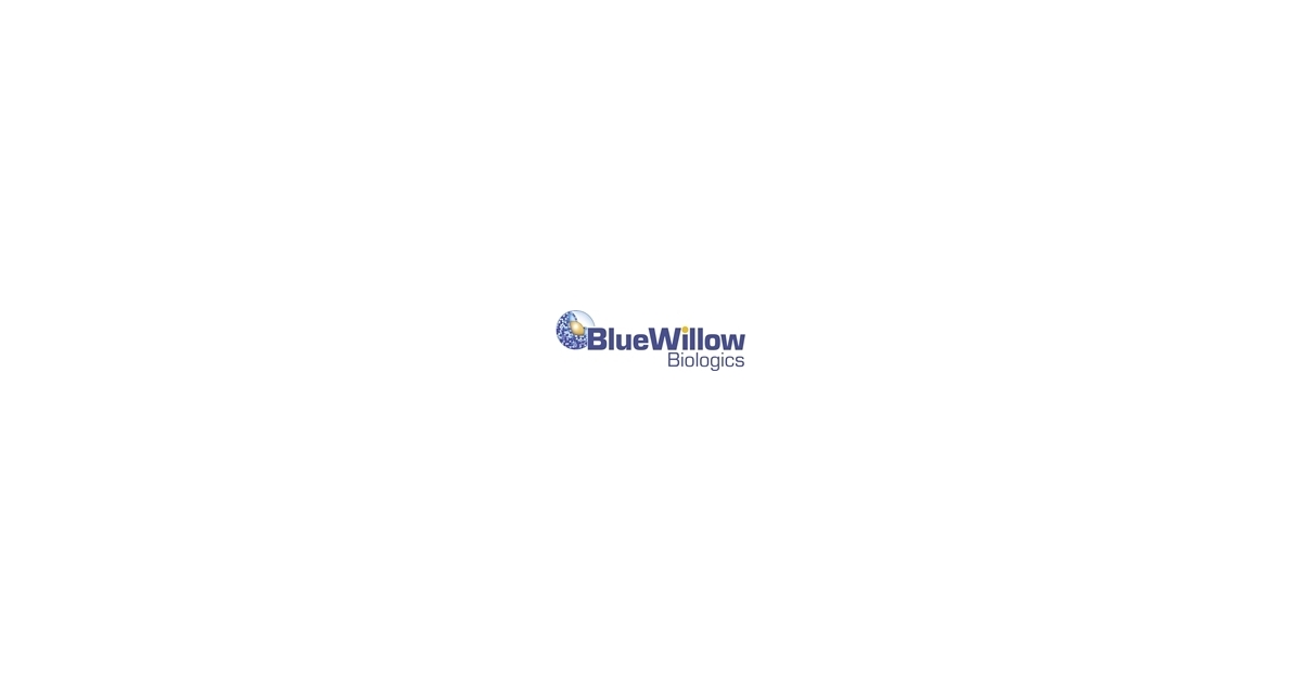 In collaboration with Medigen, BlueWillow Biologics announces positive results for #intranasal #COVID19 #booster candidate in pre-clinical studies. Learn more: bwnews.pr/3hwZ3xp