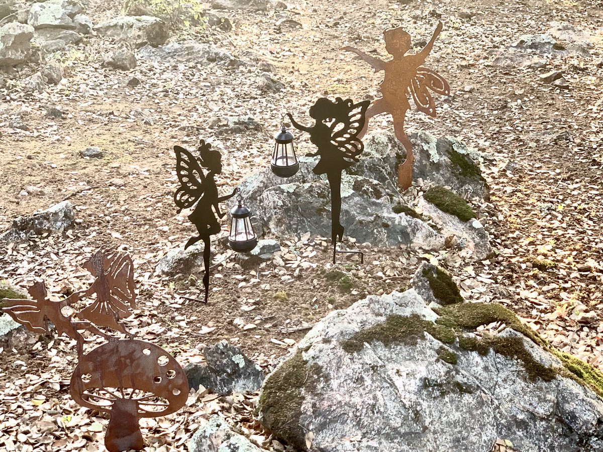 When in war-distract, distract, distract. 🙏🏼🌻🌻🌻🌻🌻🌻Good morning, All. Here we have fun with tree people, faeries & pixies at newish #Sierrafoothill digs. #HeritageOaks