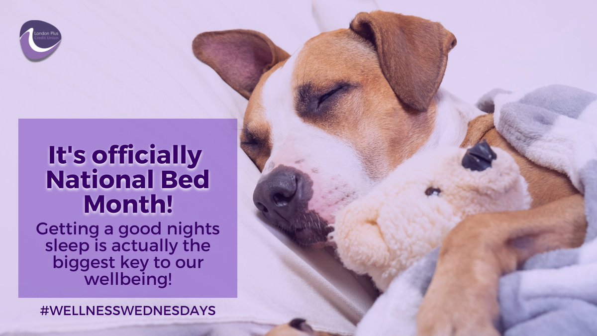 LondonPlusCU's tweet photo. It's officially National Bed Month 🛌💤 
Getting a good nights sleep is actually the biggest key to our wellbeing 🔑
Find out exactly why👇
#Wellness Wednesdays
https://t.co/5LNaTK9T9F https://t.co/ZSQ8PcdGtH