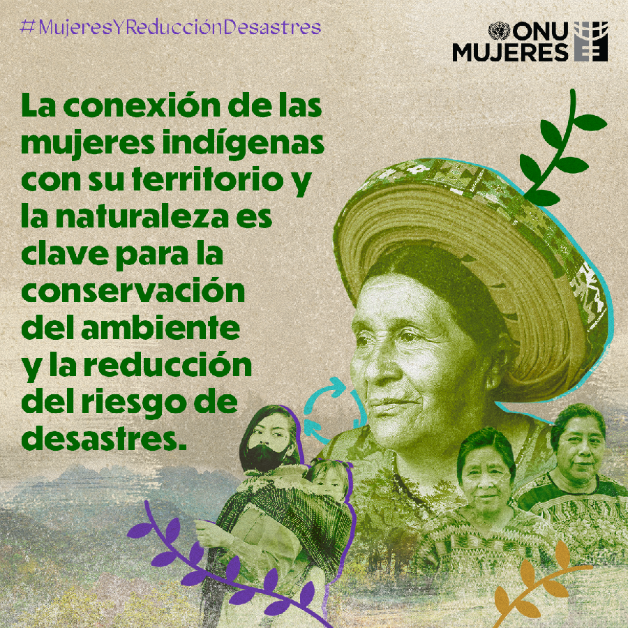 ONUMujeres's tweet photo. 👩‍🌾🌱 Las mujeres indígenas y sus organizaciones han jugado un papel activo y sostenido a lo largo del tiempo en la defensa del territorio, el agua y la naturaleza. #MujeresYReducciónDesastres #8M https://t.co/SJQTKJf5ou