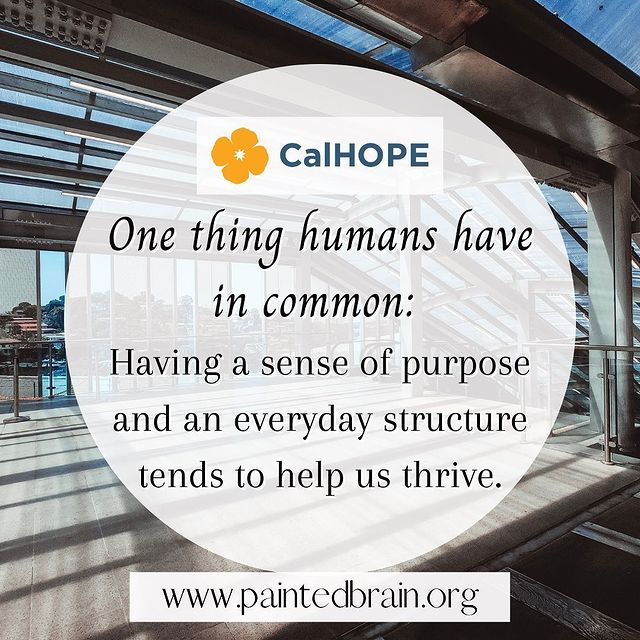 PAINTED BRAIN tweet media