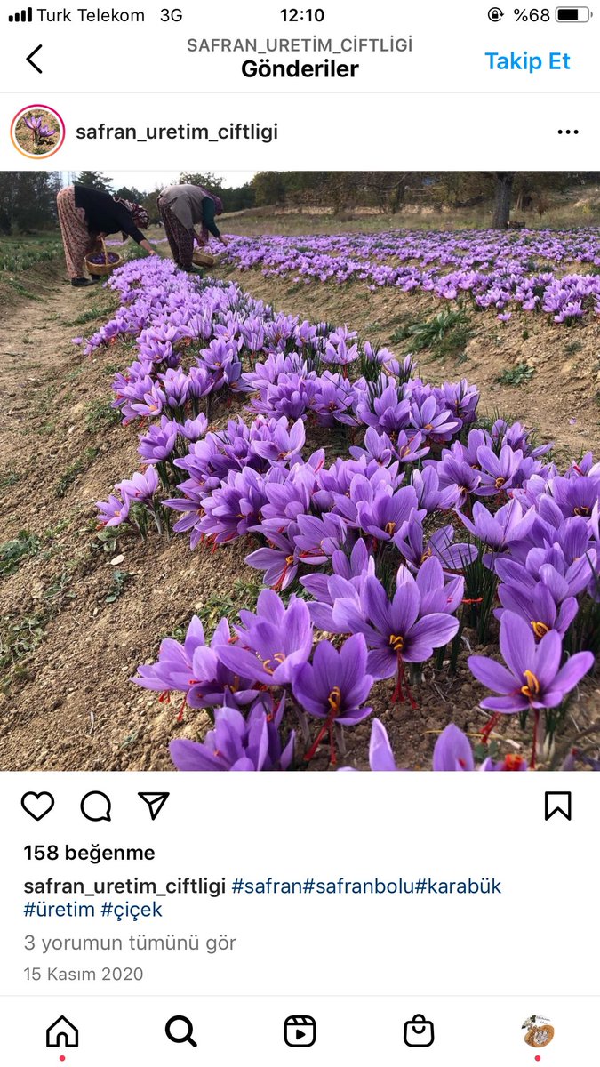 s_ureticisi's tweet photo. Çiftçilik yapıyoruz eşimle mucize bitki  Safran üretiyoruz 

Ve bu üretime devam edebilmek icin sizlerden destek bekliyoruz 

Veya en azından 1 rt bekliyoruz https://t.co/0Kul4TcvEK