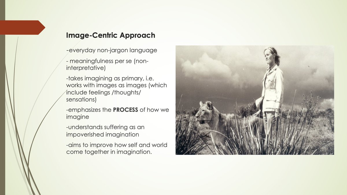 AllanFrater tweet media