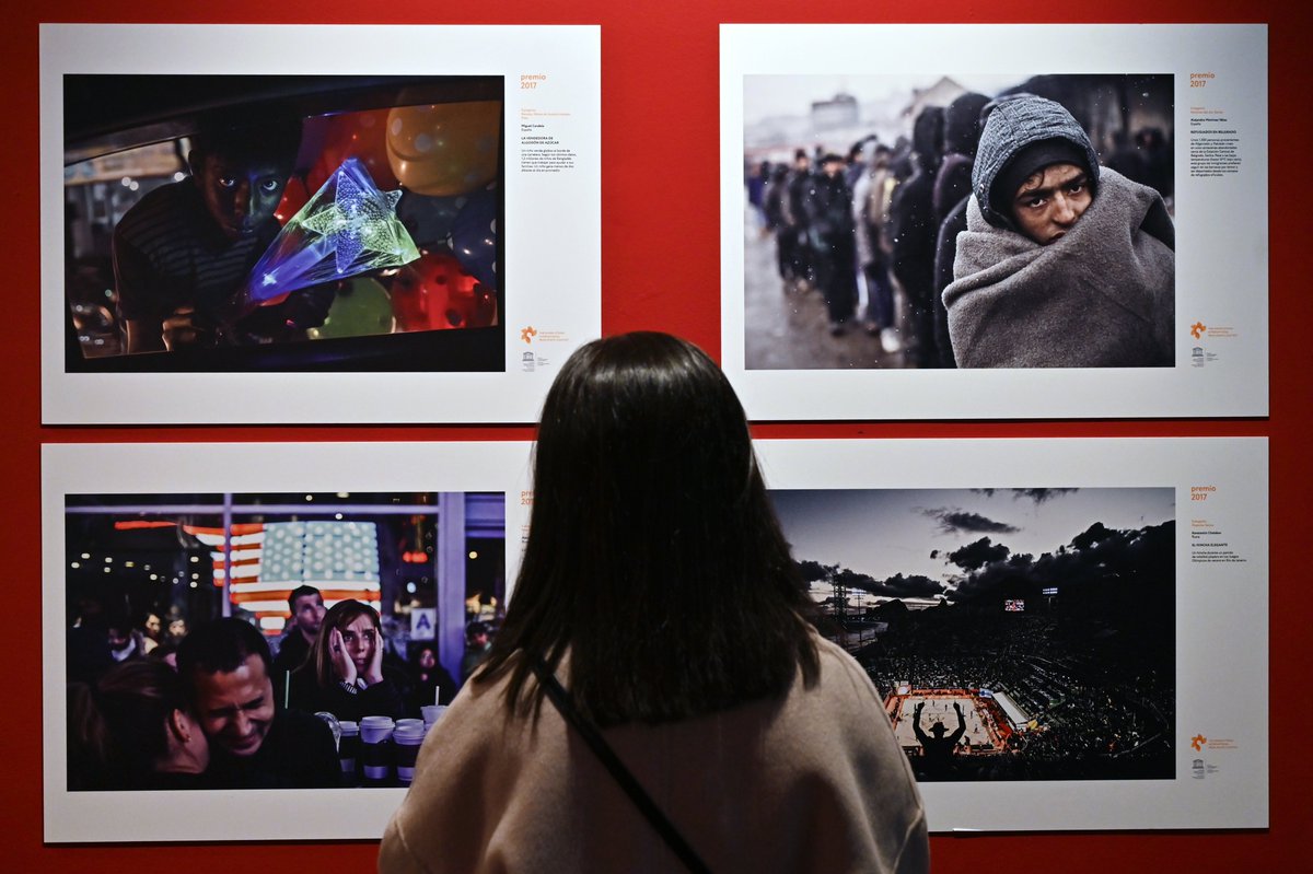 Stenin Contest tweet media