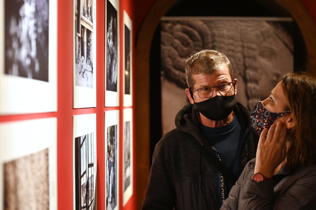 Stenin Contest tweet media