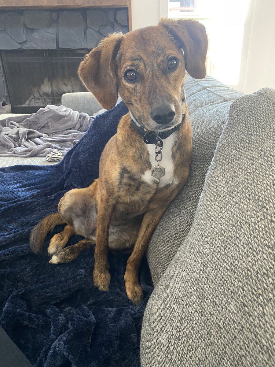 A lil head tilt to start your day 😍