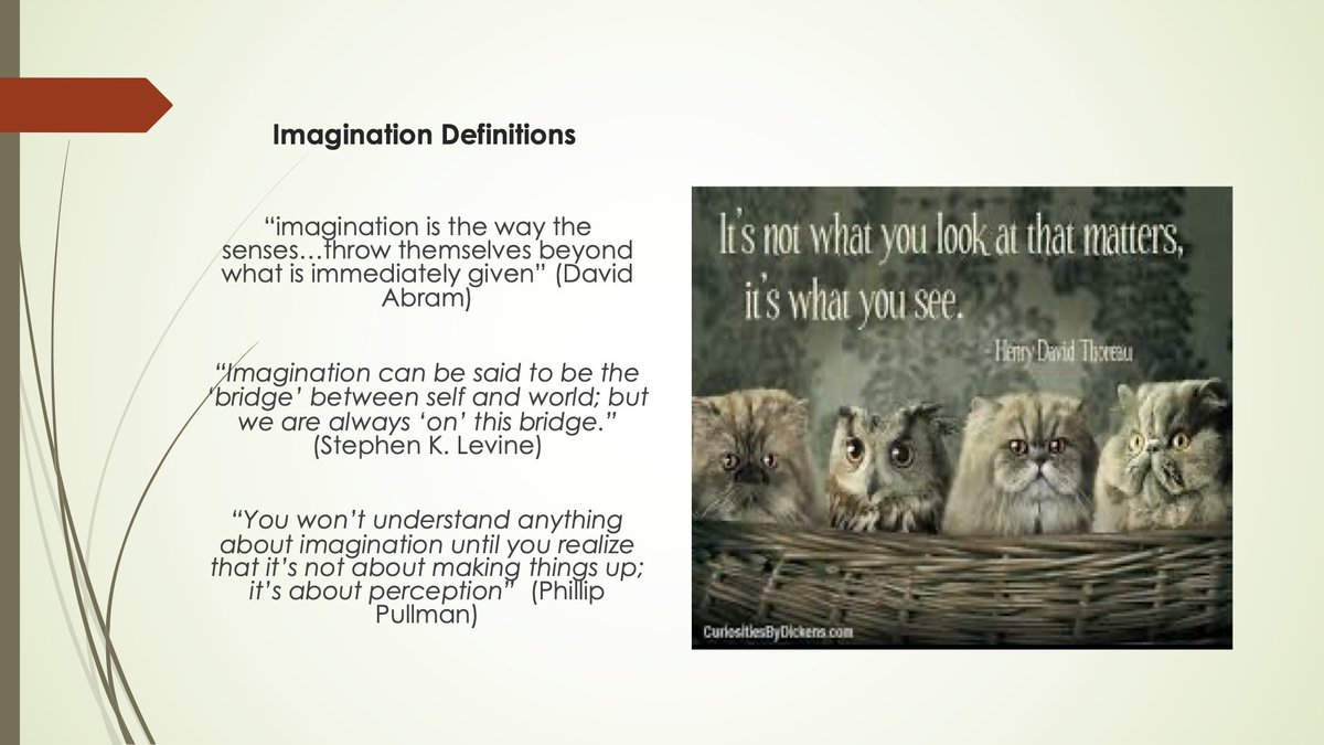 AllanFrater tweet media