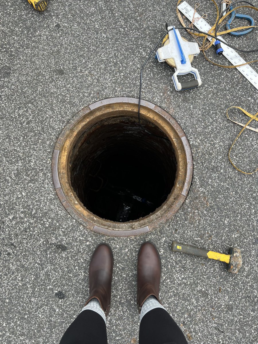 Meg Livak tweet media