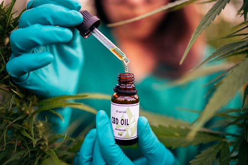 MPC_Colombia's tweet photo. Learn about the challenges of starting a CBD business and how to overcome them, here: https://t.co/Sy8Ga6qtyG

#business #cbd #cbdmedical #startup #upsell #spinoff #Entrepreneur #cosmetics #skincare https://t.co/pj53wQlPDh