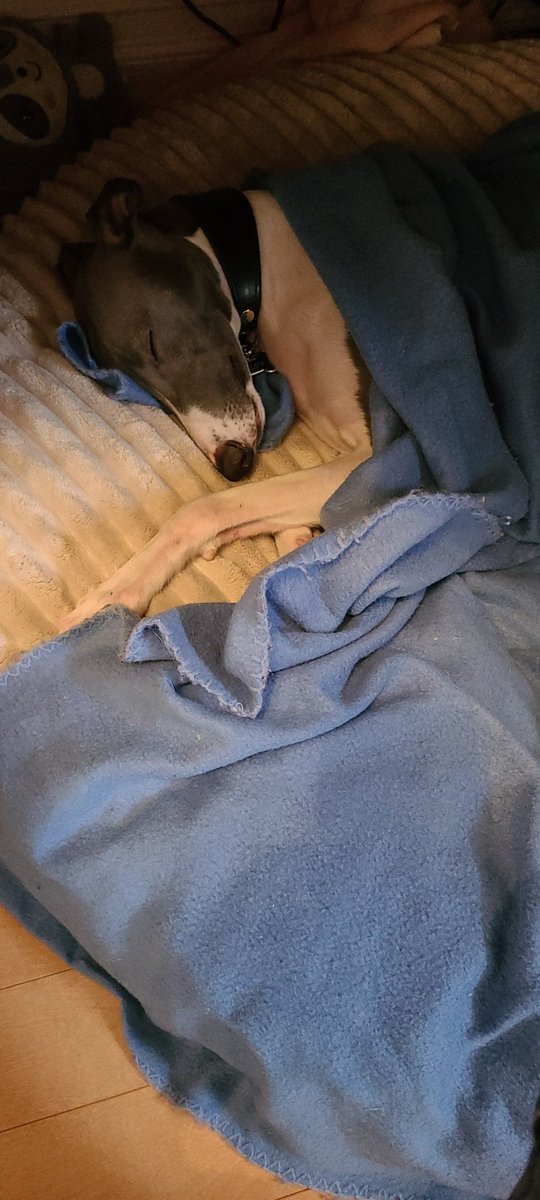 Gil Cote tweet media